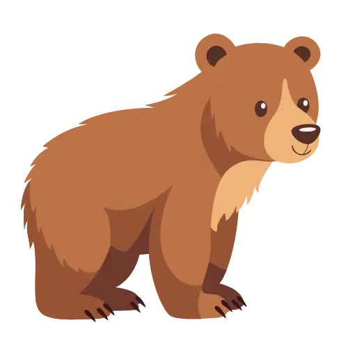 Bear – Strength & Protection