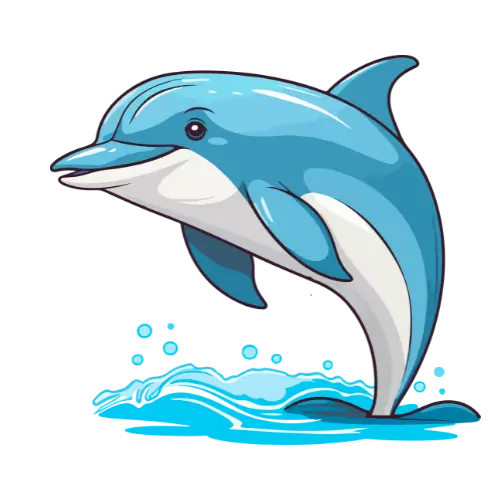 Dolphin – Playfulness & Communication
