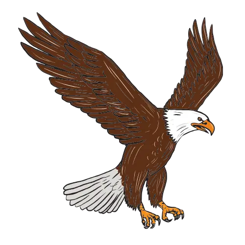 Eagle – Vision & Leadership