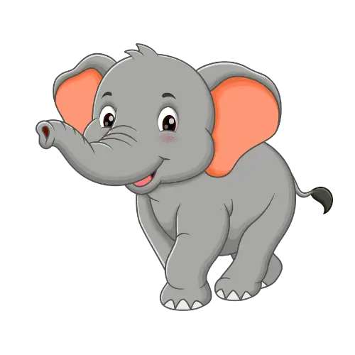 Elephant – Memory & Wisdom