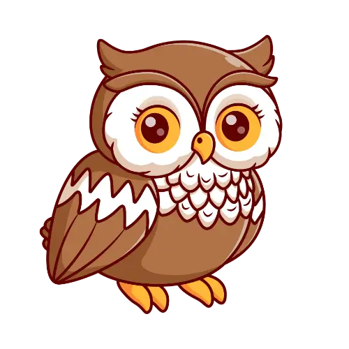 Owl – Wisdom & Intuition