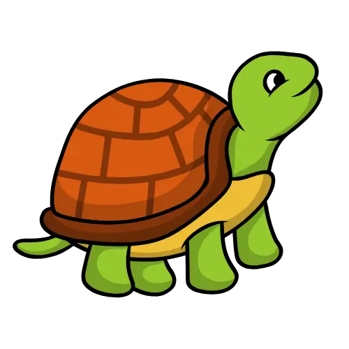 Turtle – Patience & Persistence